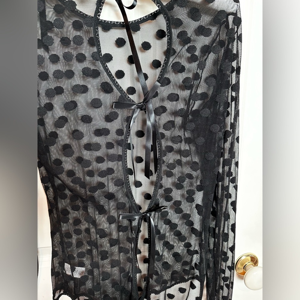 Hanky Panky Black Polka Dot Sheer Bodysuit - Picture 5 of 7